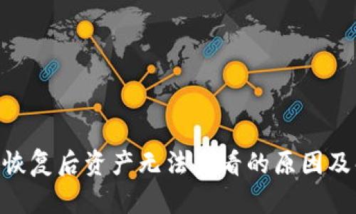Tokenim恢复后资产无法查看的原因及解决方案