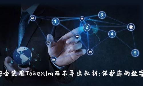 如何安全使用Tokenim而不导出私钥：保护您的数字资产。