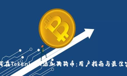 如何在Tokenim上添加狗狗币：用户指南与最佳实践
