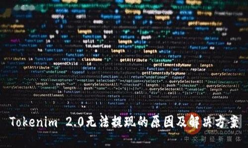 Tokenim 2.0无法提现的原因及解决方案