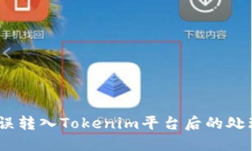 USDT误转入Tokenim平台后的处理指南