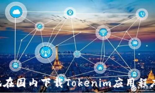   
如何安全快速地在国内下载Tokenim应用程序：用户必知指南