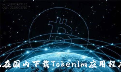   
如何安全快速地在国内下载Tokenim应用程序：用户必知指南