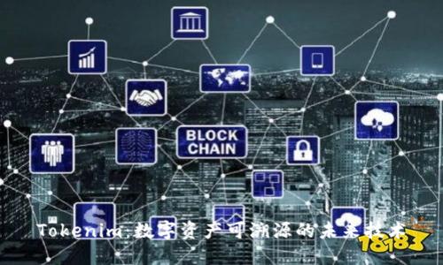 Tokenim：数字资产可溯源的未来技术