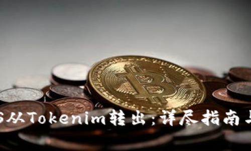 如何将VGS从Tokenim转出：详尽指南与常见问答