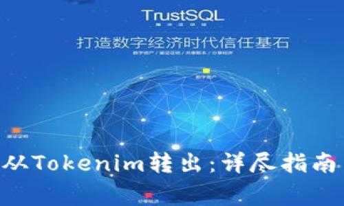 如何将VGS从Tokenim转出：详尽指南与常见问答