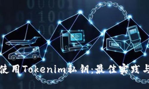 如何安全使用Tokenim私钥：最佳实践与风险防范