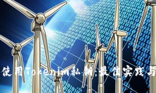 如何安全使用Tokenim私钥：最佳实践与风险防范