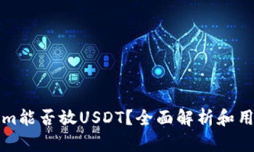 Tokenim能否放USDT？全面解析和用户指南