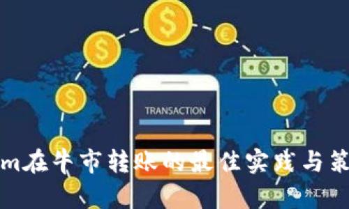 Tokenim在牛市转账的最佳实践与策略分析