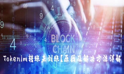 Tokenim转账未到账?原因及解决方法详解