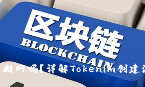 : 创建Tokenim时需断网吗？详解Tokenim创建流程及网络连接影响