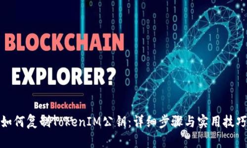 如何复制TokenIM公钥：详细步骤与实用技巧