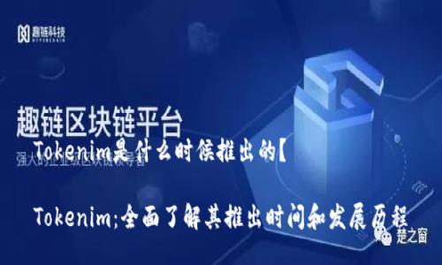 Tokenim是什么时候推出的？

Tokenim：全面了解其推出时间和发展历程