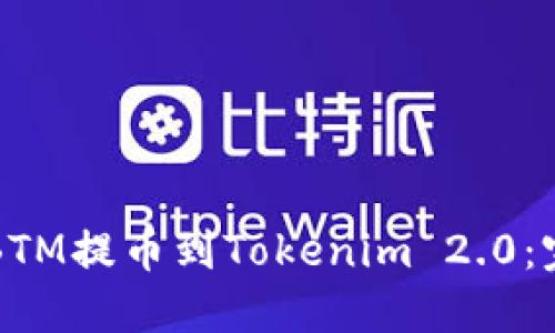 如何将BTM提币到Tokenim 2.0：完整指南