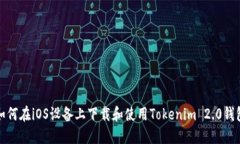 如何在iOS设备上下载和使