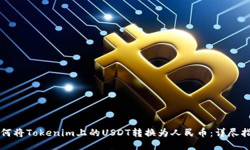 如何将Tokenim上的USDT转换为人民币：详尽指南