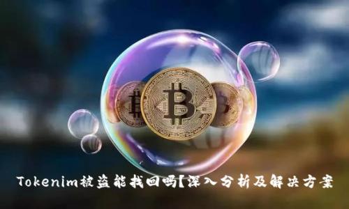 Tokenim被盗能找回吗？深入分析及解决方案