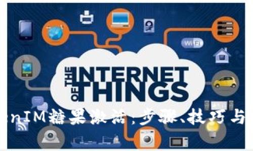 全面了解TokenIM糖果激活：步骤、技巧与常见问题解析