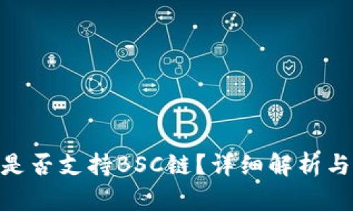 Tokenim是否支持BSC链？详细解析与使用指南