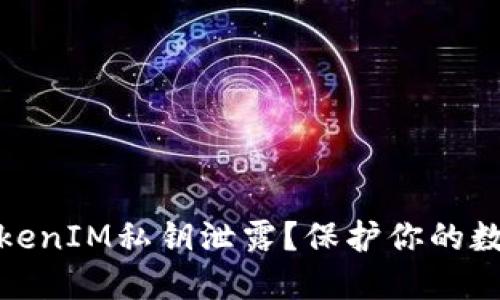 如何应对TokenIM私钥泄露？保护你的数字资产安全
