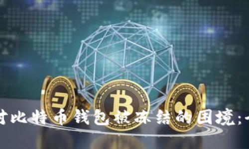 如何应对比特币钱包被冻结的困境：全面指南