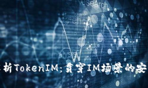 : 全面解析TokenIM：贯穿IM场景的安全与效率