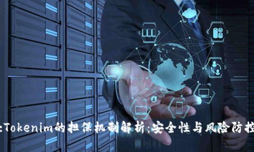 :Tokenim的担保机制解析：安全性与风险防控