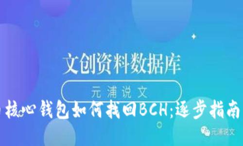 比特币核心钱包如何找回BCH：逐步指南与技巧