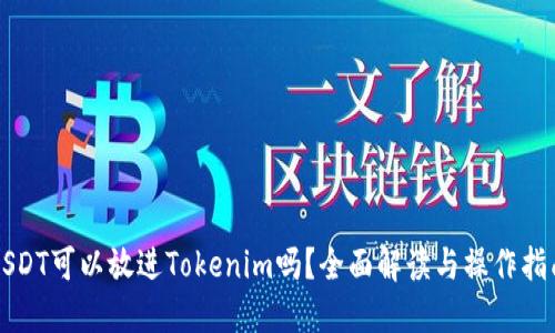 USDT可以放进Tokenim吗？全面解读与操作指南