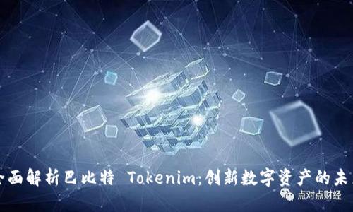 全面解析巴比特 Tokenim：创新数字资产的未来