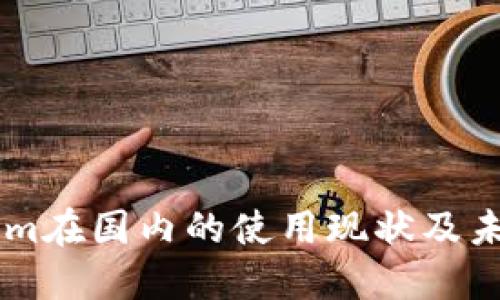 TokenIm在国内的使用现状及未来展望