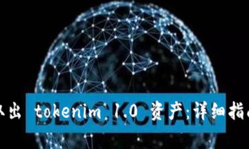 如何安全高效地取出 tokenim 1.0 资产：详细指南及常见问题解答