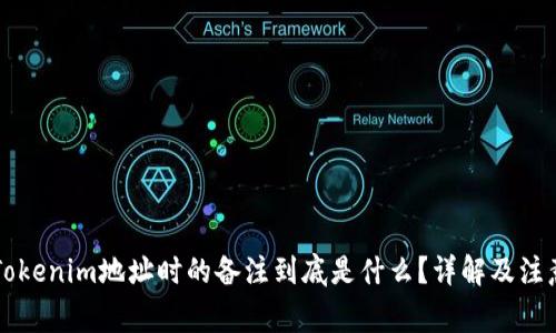 转入Tokenim地址时的备注到底是什么？详解及注意事项