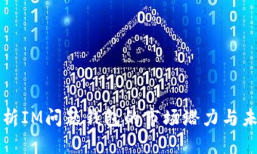 深入分析IM问题钱包的市场潜力与未来发展