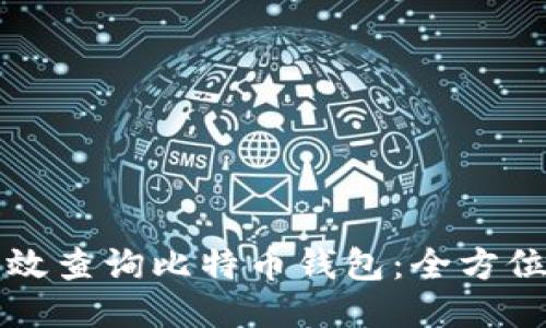如何高效查询比特币钱包：全方位的指南