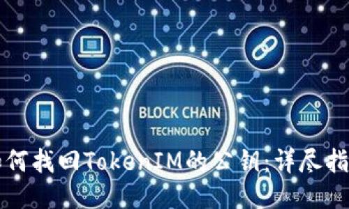 如何找回TokenIM的公钥：详尽指南