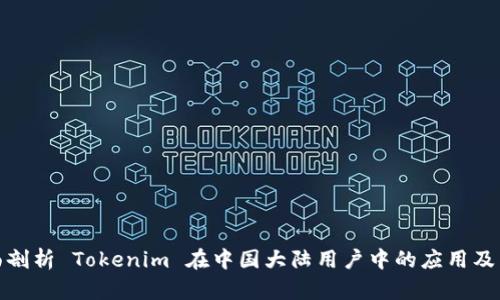 全面剖析 Tokenim 在中国大陆用户中的应用及影响