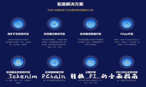 Tokenim PChain 转换 PI 的全面指南