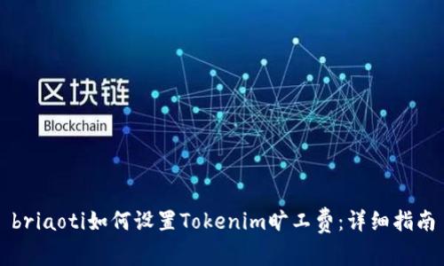 briaoti如何设置Tokenim旷工费：详细指南