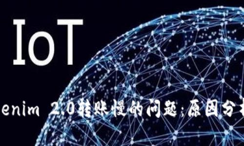 解决Tokenim 2.0转账慢的问题：原因分析与建议