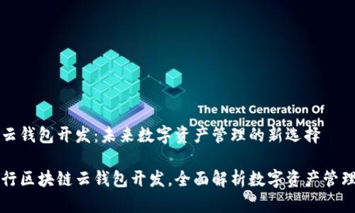 区块链云钱包开发：未来数字资产管理的新选择

如何进行区块链云钱包开发，全面解析数字资产管理新方式
