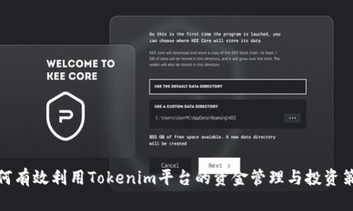 如何有效利用Tokenim平台的资金管理与投资策略