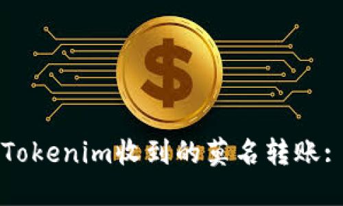 如何处理Tokenim收到的莫名转账: 完整指南