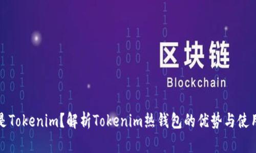 什么是Tokenim？解析Tokenim热钱包的优势与使用方法