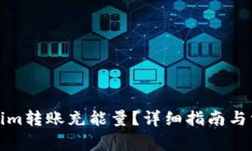 如何为Tokenim转账充能量？详细指南与常见问题解答