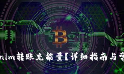 如何为Tokenim转账充能量？详细指南与常见问题解答