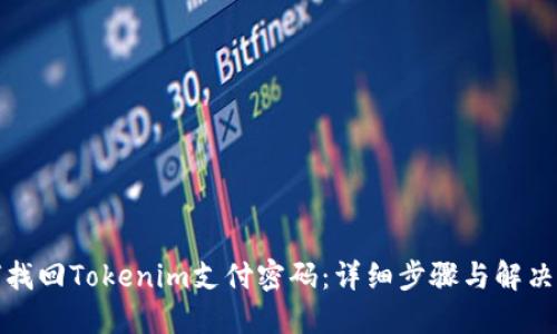 如何找回Tokenim支付密码：详细步骤与解决方案