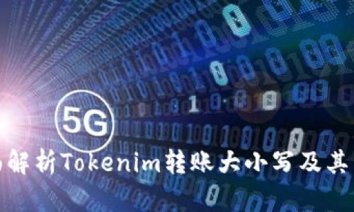 全面解析Tokenim转账大小写及其影响
