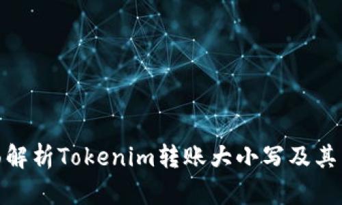 全面解析Tokenim转账大小写及其影响